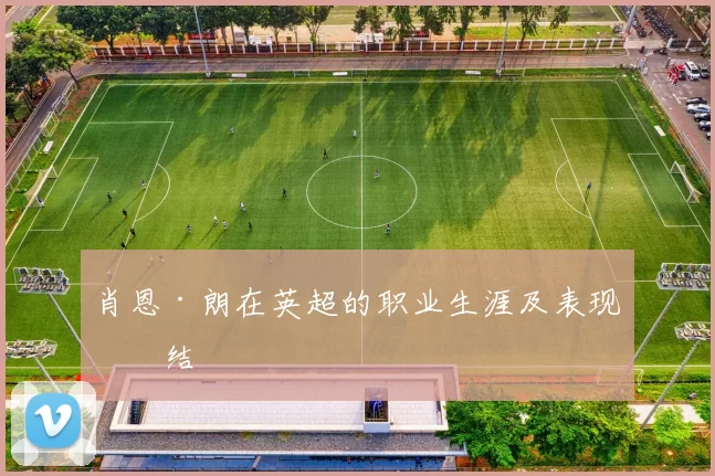 肖恩·朗在英超的职业生涯及表现总结