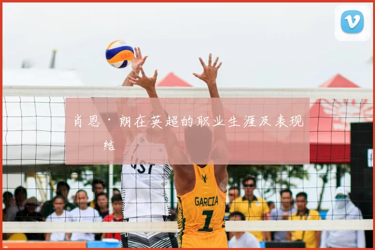 肖恩·朗在英超的职业生涯及表现总结