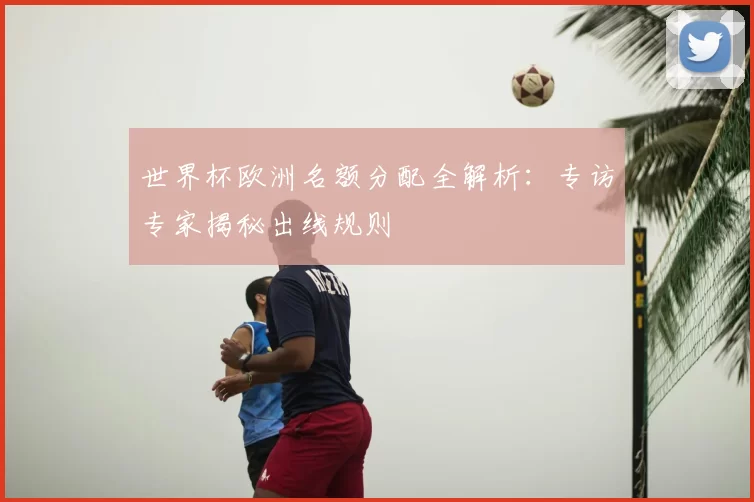世界杯欧洲名额分配全解析：专访专家揭秘出线规则