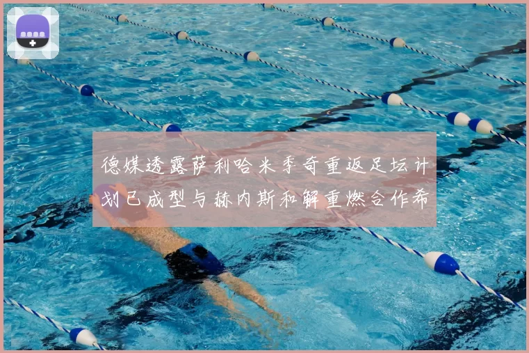 德媒透露萨利哈米季奇重返足坛计划已成型与赫内斯和解重燃合作希望
