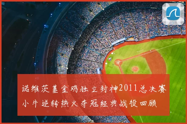 诺维茨基金鸡独立封神2011总决赛小牛逆转热火夺冠经典战役回顾