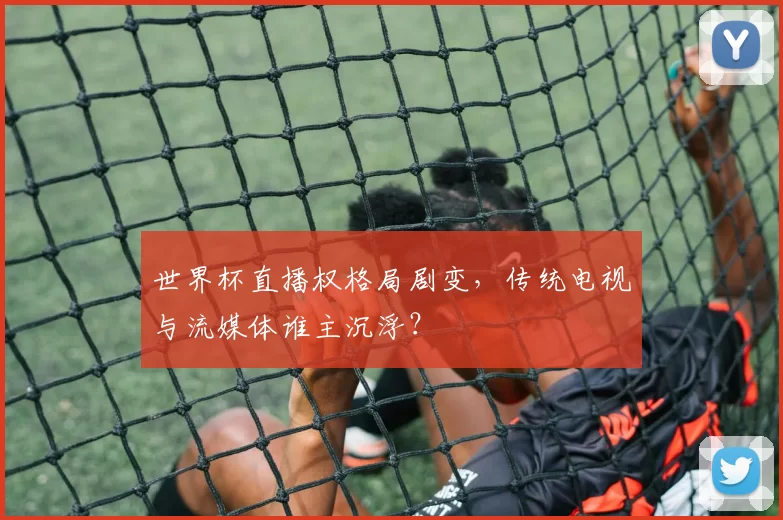 世界杯直播权格局剧变,传统电视与流媒体谁主沉浮?