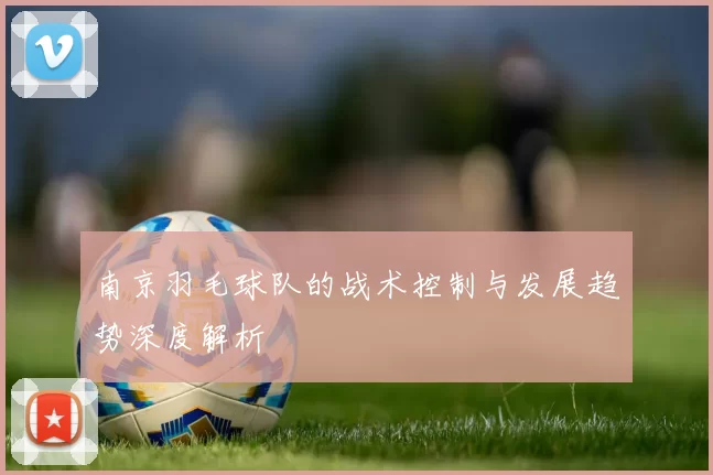 南京羽毛球队的战术控制与发展趋势深度解析