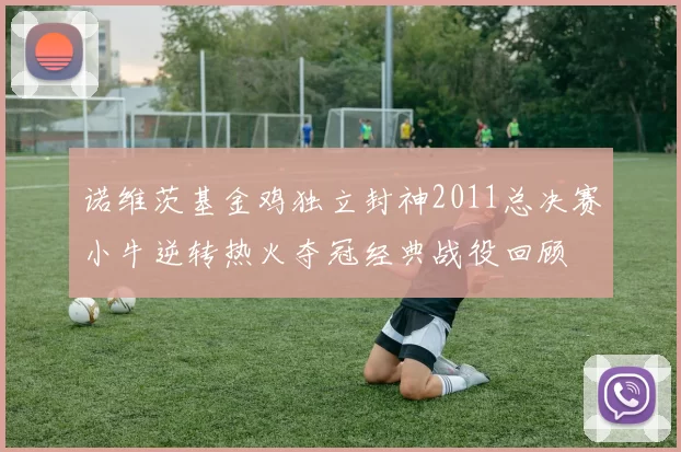 诺维茨基金鸡独立封神2011总决赛小牛逆转热火夺冠经典战役回顾