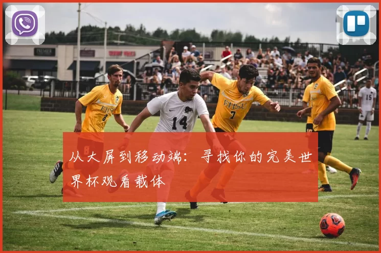 从大屏到移动端：寻找你的完美世界杯观看载体
