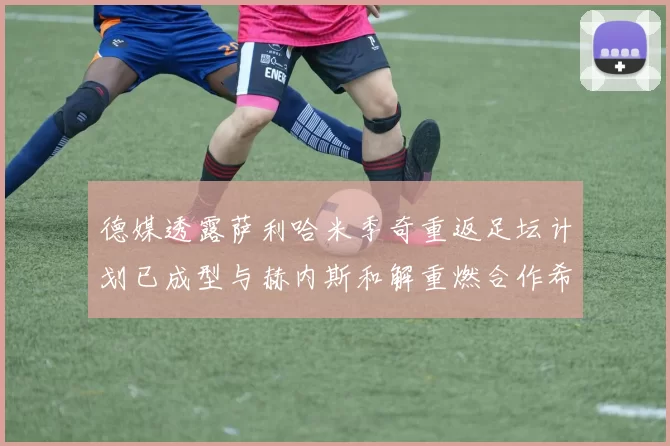 德媒透露萨利哈米季奇重返足坛计划已成型与赫内斯和解重燃合作希望