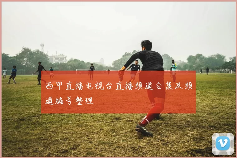 西甲直播电视台直播频道合集及频道编号整理