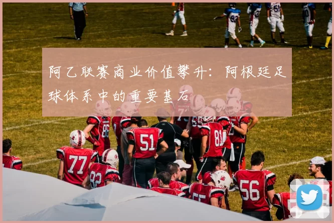 阿乙联赛商业价值攀升：阿根廷足球体系中的重要基石