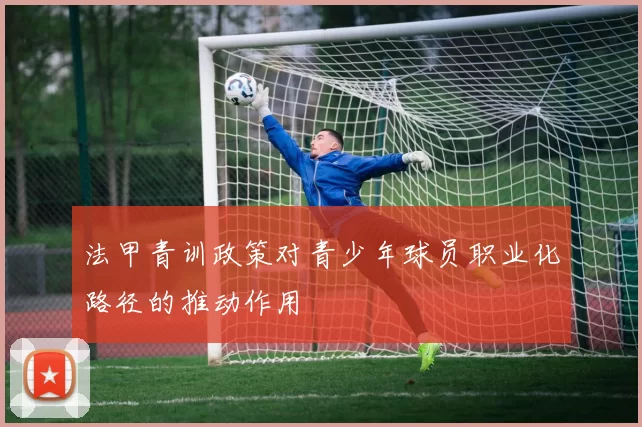 法甲青训政策对青少年球员职业化路径的推动作用