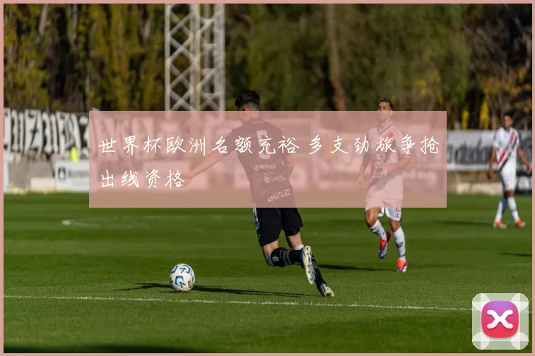 世界杯欧洲名额充裕 多支劲旅争抢出线资格