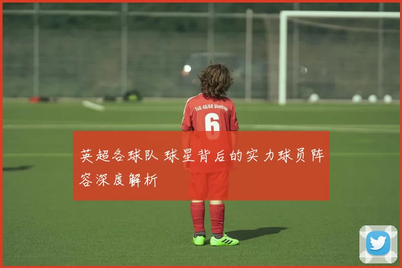 英超各球队 球星背后的实力球员阵容深度解析