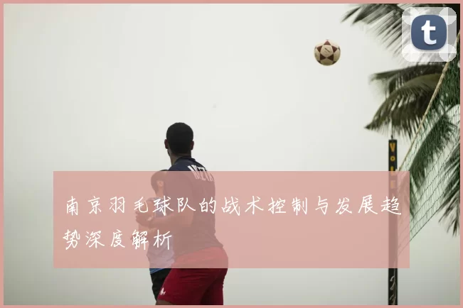 南京羽毛球队的战术控制与发展趋势深度解析